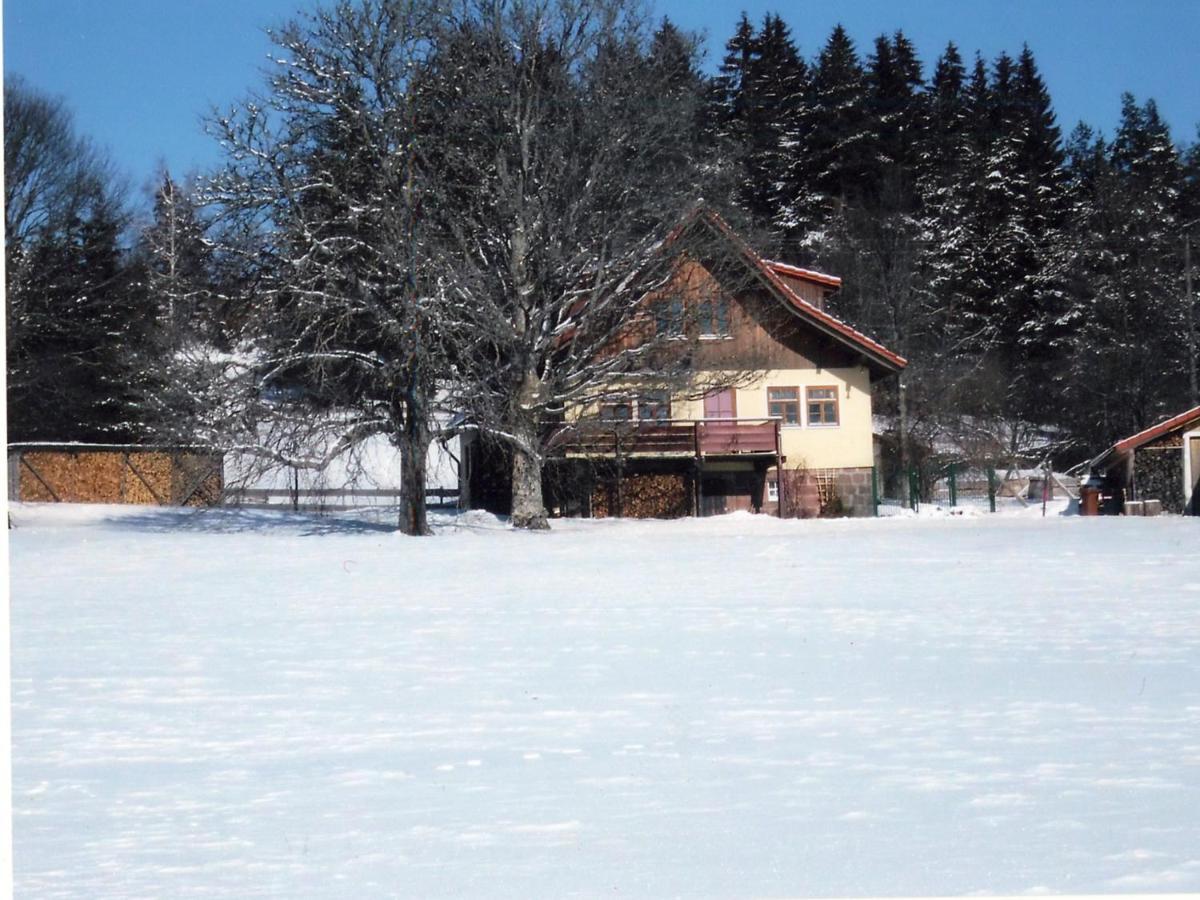 Landhaus Graf Kniebis Eksteriør bilde